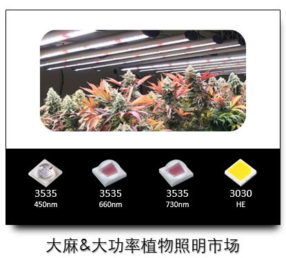 7bfac3fe4ab119b85b31e12d8ee77409_20210107102620_645.png